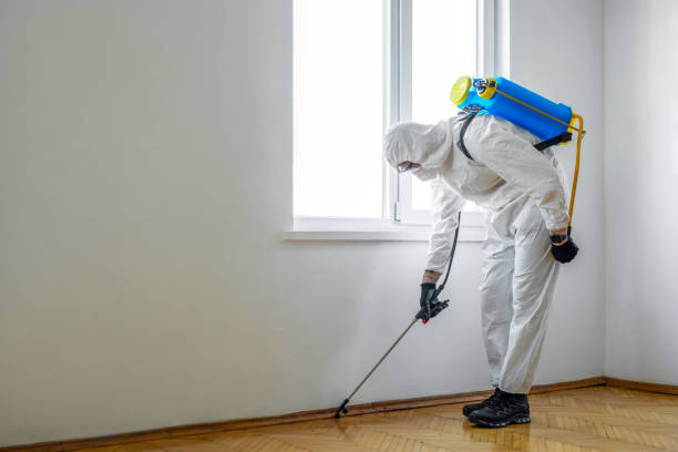 Best Exterminator Services  in Churchill, PA
