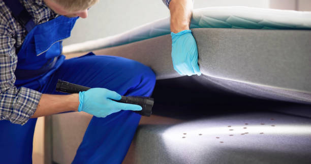 Best Best Pest Control Near Me  in Churchill, PA